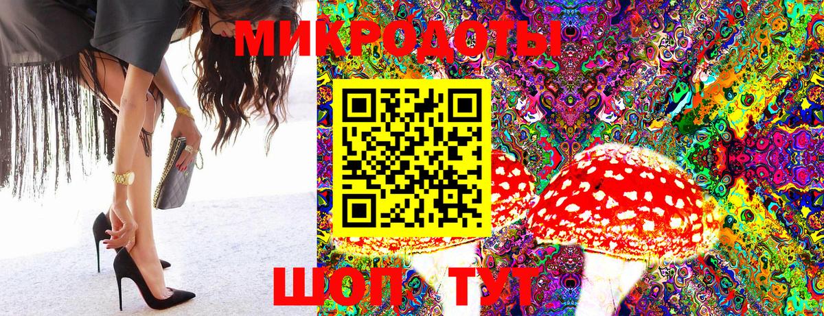 Павлово  Галлюциногенные грибы Cubensis  Вход с VPN 