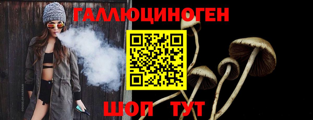 Галлюциногенные грибы Cubensis Павлово
